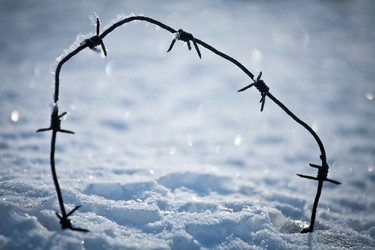 Similar image 480941