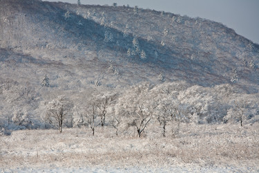 Similar image 480972