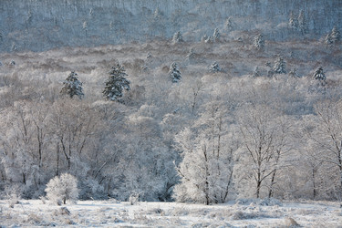 Similar image 481001