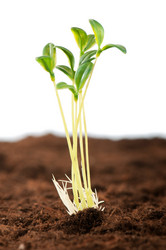 Similar image 481008