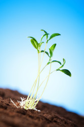 Similar image 481009