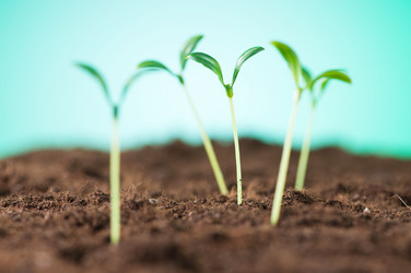 Similar image 481015