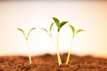 Similar image 481018