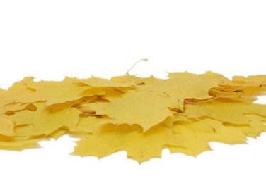 Similar image 481047