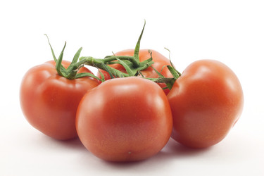 Similar image 481058