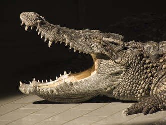 Similar image 481075