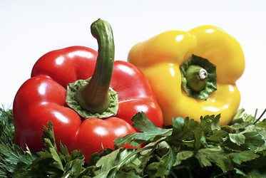 Similar image 481077