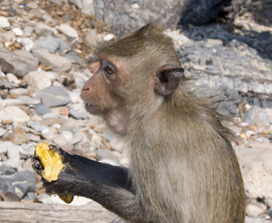 Similar image 481130