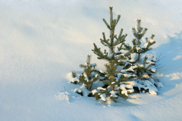 Similar image 481141