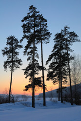 Similar image 481144