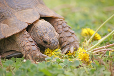 Similar image 481197