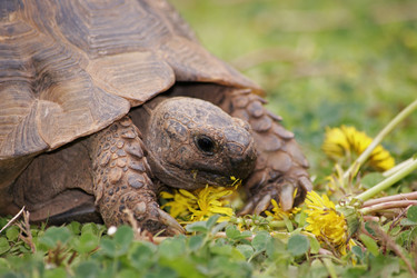 Similar image 481201