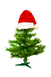 Similar image 481237