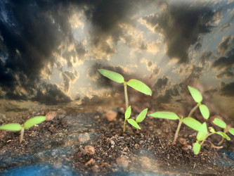 Similar image 481272