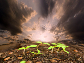 Similar image 481273