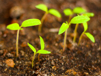 Similar image 481287