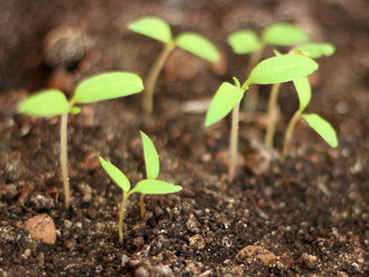 Similar image 481296