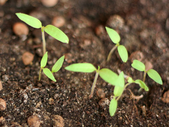 Similar image 481297