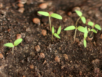 Similar image 481299