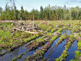 Similar image 481359