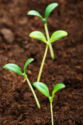 Similar image 481365