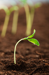 Similar image 481366