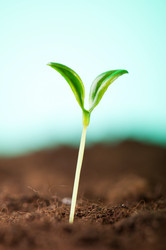 Similar image 481367