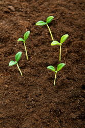 Similar image 481369