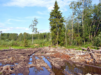 Similar image 481372