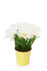 Similar image 481422