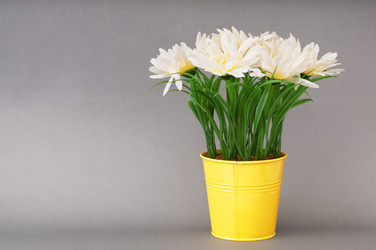 Similar image 481423