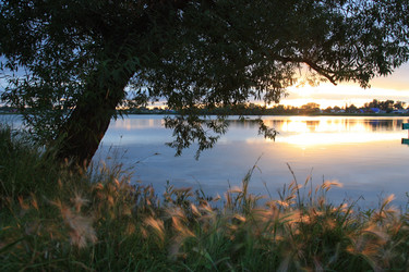 Similar image 481433