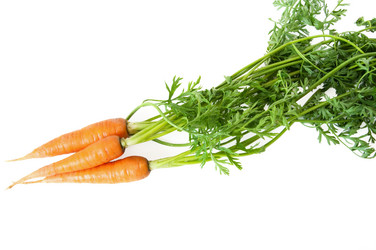 Similar image 481450