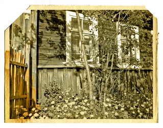 Similar image 481654