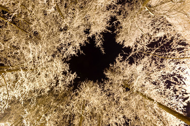 Similar image 481823