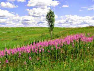 Similar image 481845