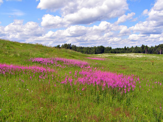 Similar image 481854