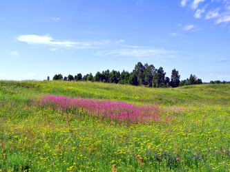 Similar image 481859