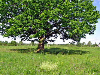 Similar image 481871