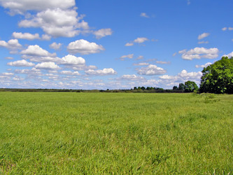 Similar image 481879