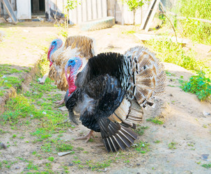 Similar image 481909