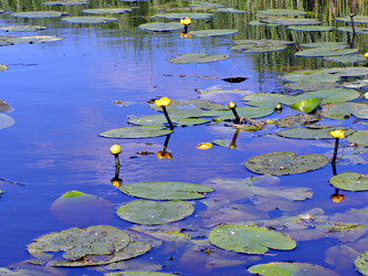 Similar image 481924