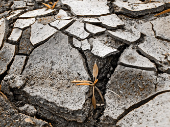 Similar image 481988