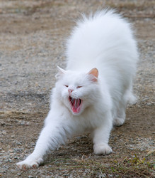 Similar image 482048