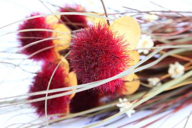 Similar image 482059