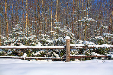 Similar image 482093