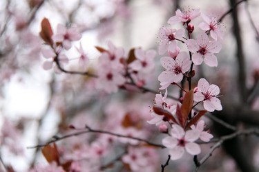 Similar image 482108