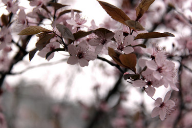 Similar image 482109