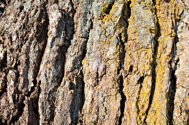 Similar image 482132