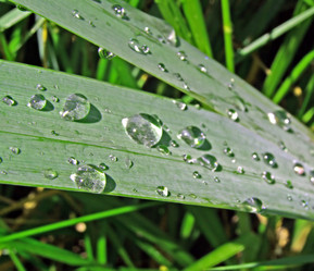 Similar image 482142